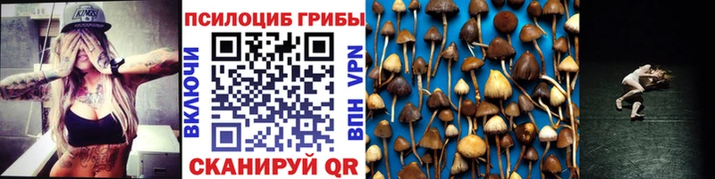 OMG ONION  Камызяк  Галлюциногенные грибы прущие грибы 